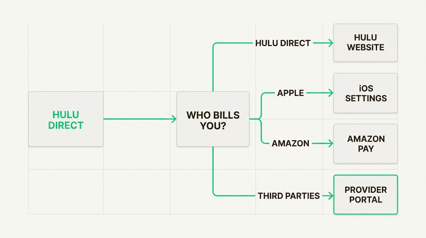 Hulu subscription