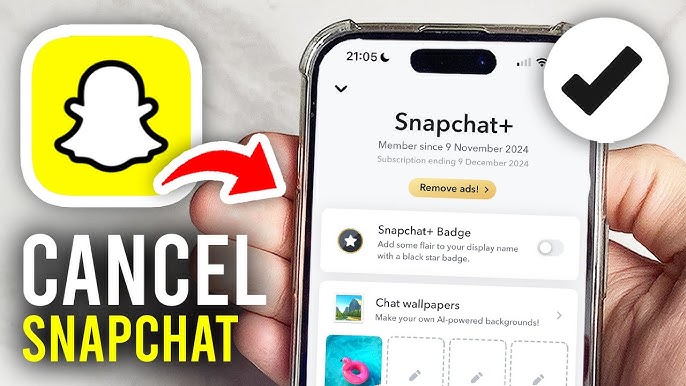 Read more about the article How to Cancel Snapchat Plus: A Step-by-Step Guide