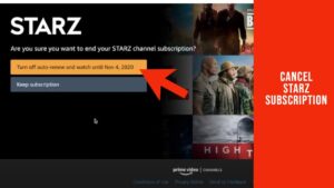Read more about the article How to Cancel a Starz Subscription in 5 Steps